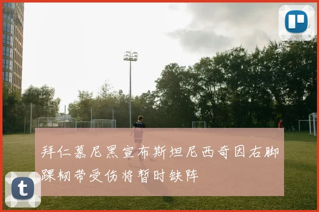 拜仁慕尼黑宣布斯坦尼西奇因右脚踝韧带受伤将暂时缺阵